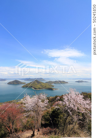 See Shimojima, Shiomishima Islands, Takami Island and so on from Shimoideyama in full bloom 50245850