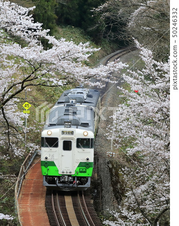 春天Tadami線 春天Tadami線 50246332