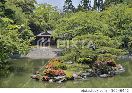 Sen-Don Gosho Kashiwajima South Pond Kashiwahama Sen-Don Gosho Kashiwajima South Pond Kashiwahama 50246442