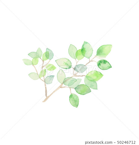 Sunlight, material 50246712