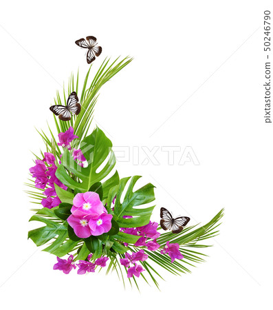 Catharanthus flowers and bougainvillea with palm 50246790