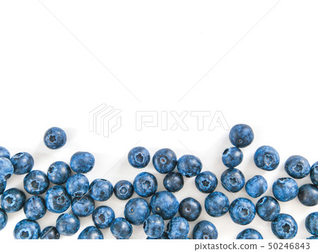 Blueberry isolated, white,copy space 50246843