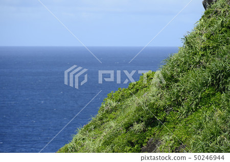 Okami Shrine Ishigakijima 50246944