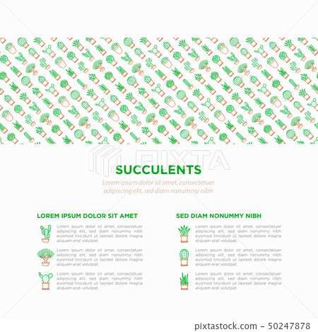Cactus and succelents in pots concept 50247878