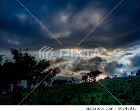 [Shizuoka Prefecture Izu Peninsula] Evening view from the Izu Sanroku Line footpath [Summer-around Daruma] 50248936