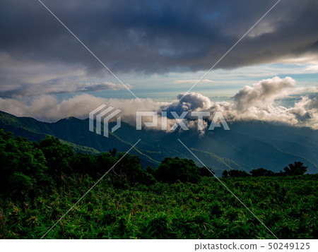 [Izu peninsula] Summer highland scenery [around Izusan mountain ridge line footpath, Daruma mountain] 50249125