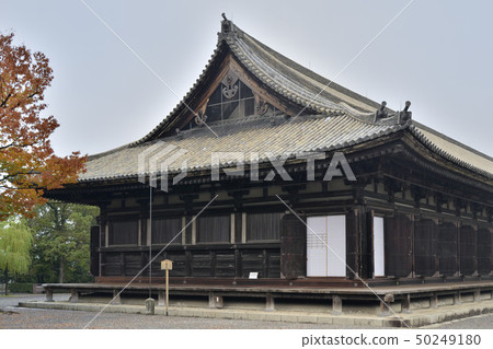 國寶三十三間堂 50249180