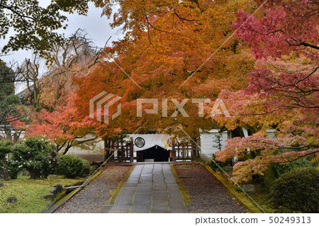 Yougenin Kyoto 50249313