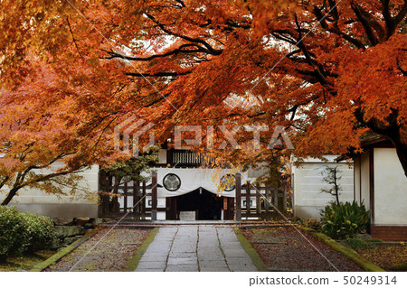 Yougenin Kyoto 50249314