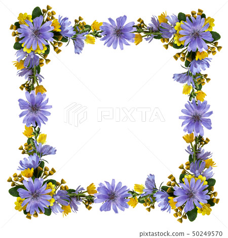 Wild flowers in a frame Wild flowers in a frame 50249570