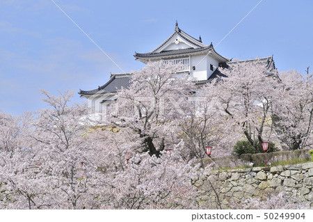 Tsuyama Castle日本櫻花景點100選擇Binaka 50249904