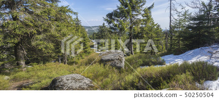 Jizera Mountains jizerske hory panoramic landscape, view from ridge of holubnik mountain with lush 50250504