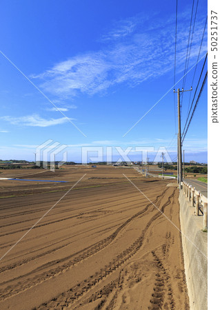 Field (summer / autumn) Field (summer / autumn) 50251737