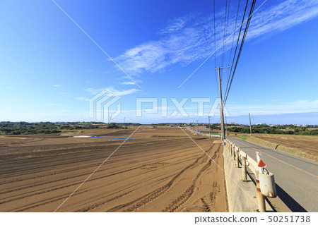 Field (summer / autumn) Field (summer / autumn) 50251738