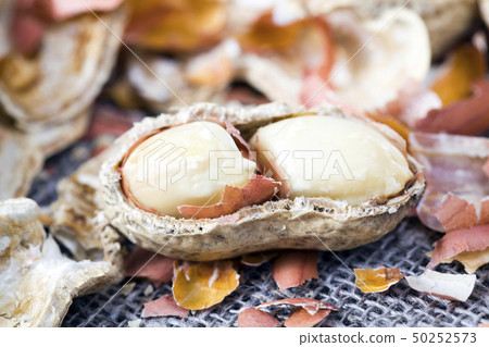 Peanuts in the shell 50252573