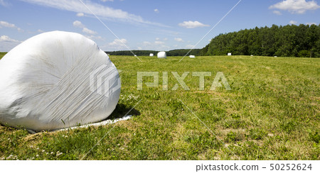 livestock feed 50252624