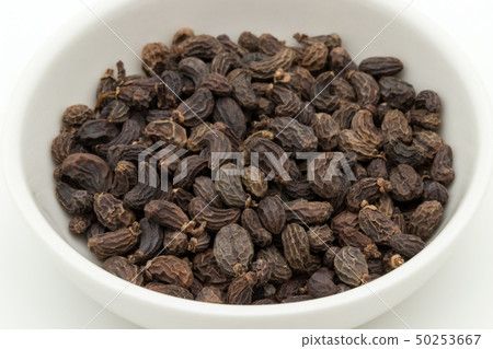 Female fruit, fruit of the fruit rice, fruit, fruit, fruit, listrum, privet fruit 50253667