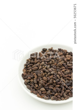 Female fruit, fruit of the fruit rice, fruit, fruit, fruit, listrum, privet fruit Female fruit, fruit of the fruit rice, fruit, fruit, fruit, listrum, privet fruit 50253671