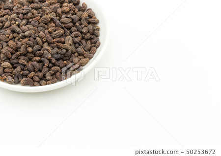 Female fruit, fruit of the fruit rice, fruit, fruit, fruit, listrum, privet fruit Female fruit, fruit of the fruit rice, fruit, fruit, fruit, listrum, privet fruit 50253672