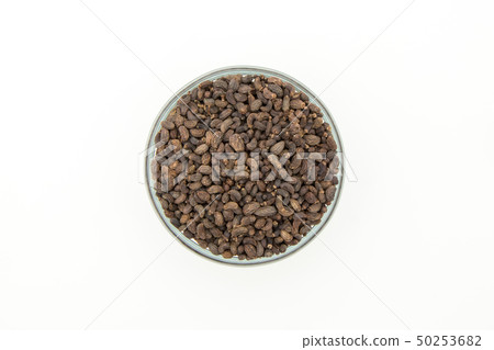 Female fruit, fruit of the fruit rice, fruit, fruit, fruit, listrum, privet fruit 50253682