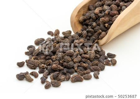 Female fruit, fruit of the fruit rice, fruit, fruit, fruit, listrum, privet fruit 50253687