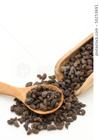 Female fruit, fruit of the fruit rice, fruit, fruit, fruit, listrum, privet fruit 50253691