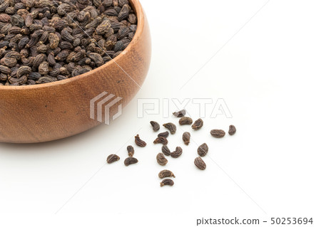 Female fruit, fruit of the fruit rice, fruit, fruit, fruit, listrum, privet fruit 50253694