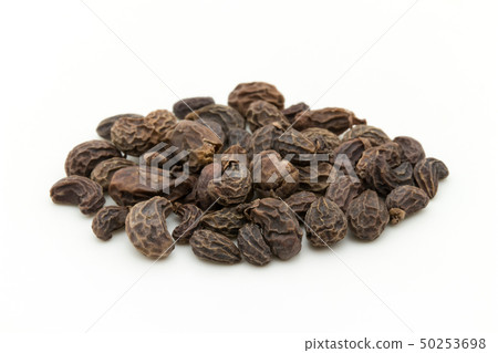 女性水果,水果,水果,水果,水果,水果,女貞果 女性水果,水果,水果,水果,水果,水果,女貞果 50253698