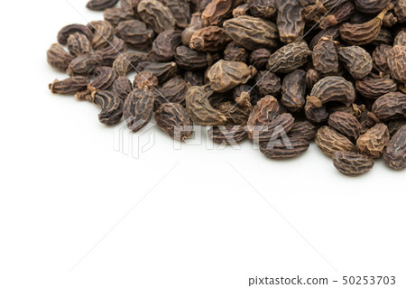 Female fruit, fruit of the fruit rice, fruit, fruit, fruit, listrum, privet fruit Female fruit, fruit of the fruit rice, fruit, fruit, fruit, listrum, privet fruit 50253703