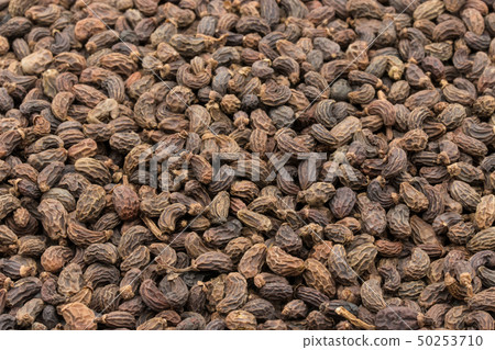 Female fruit, fruit of the fruit rice, fruit, fruit, fruit, listrum, privet fruit 50253710