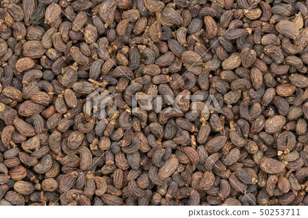 Female fruit, fruit of the fruit rice, fruit, fruit, fruit, listrum, privet fruit 50253711