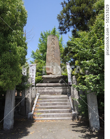 The role of Nanatsu The role of Nanatsu 50253829