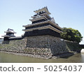 Nakatsu Castle 50254037