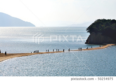 [Shodoshima, tourist attraction] Angel Road (Anarchy of Angels) in the middle of breaking due to tide change 50254975