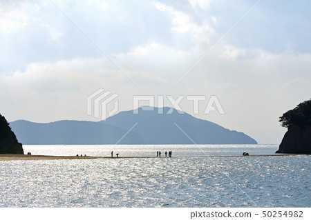 [小豆島，旅遊勝地]天使路（天使長廊）早晨 50254982