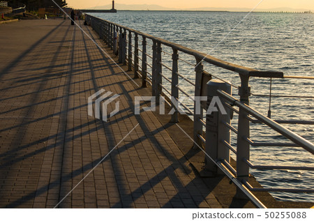 Osaka Sakishima, seaside Cosmo 50255088