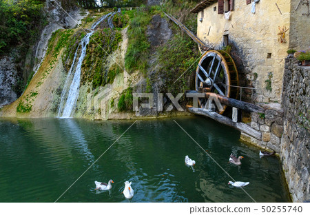 Ancient watermill wheel, Molinetto della Croda 50255740