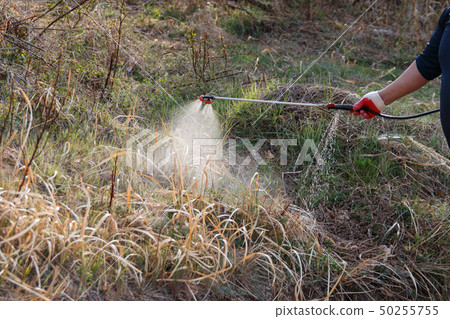Spraying herbicide 50255755