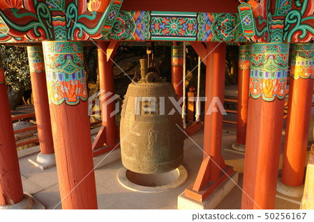 Jongil, Hyangilam, Dolsando, Yeosu, Jeonnam 50256167