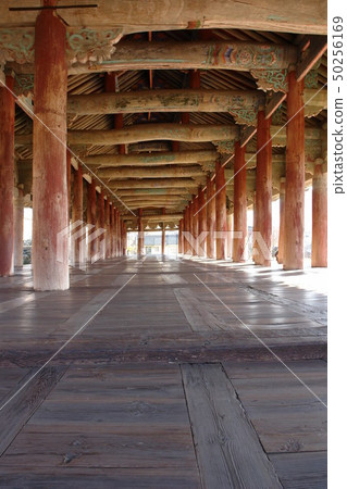 Jinnam-gu(國寶304號),Yeosu,Jeonnam Jinnam-gu(國寶304號),Yeosu,Jeonnam 50256169