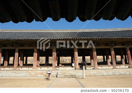 Jinnam-gu(國寶304號),Yeosu,Jeonnam Jinnam-gu(國寶304號),Yeosu,Jeonnam 50256170