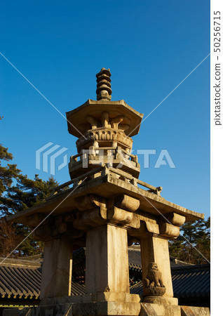 Gyeongbuk省慶州市佛國寺Dabotap（國寶20號） 50256715