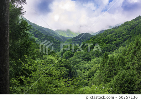 夏天天空藍天 夏天天空藍天 50257136