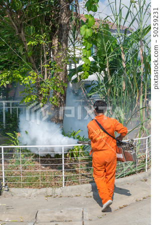 Fogging DDT spray kill mosquito 50259231