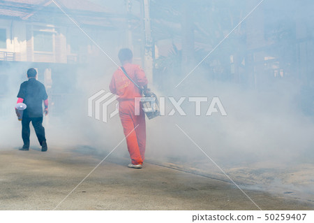Fogging DDT spray kill mosquito 50259407