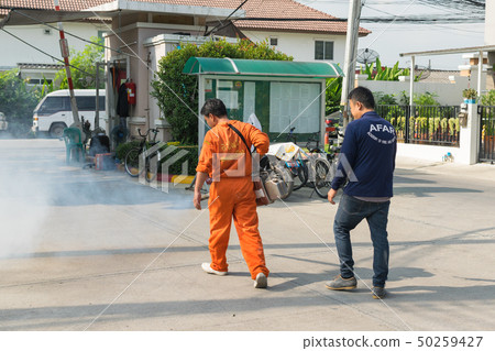Fogging DDT spray kill mosquito 50259427