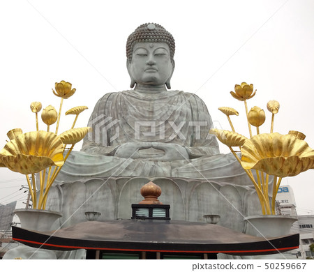 Hyogo Great Buddha 50259667