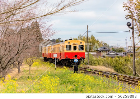 Spring Kojima Railway Satoyama Toko Satomi Station Spring Kojima Railway Satoyama Toko Satomi Station 50259898