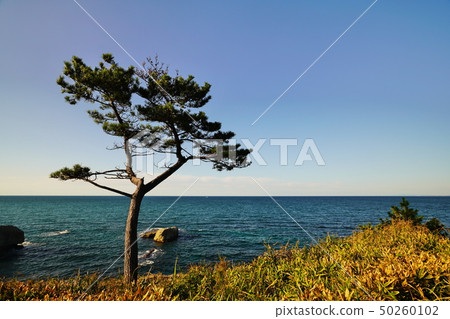 Kazumasa Ichimatsu Kazumasa Ichimatsu 50260102