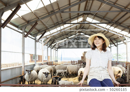 羊農場的女人 羊農場的女人 50260185